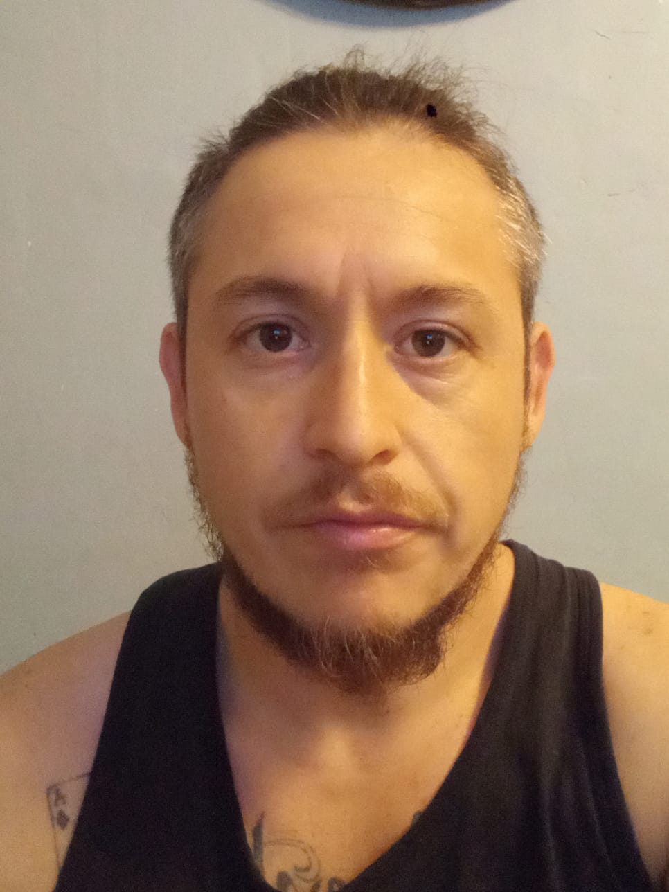 Header Avatar